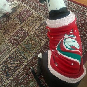 Meet your Posher, Sara